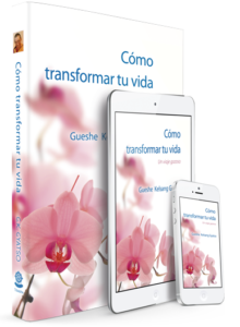 cttv pack 3d 2017 web